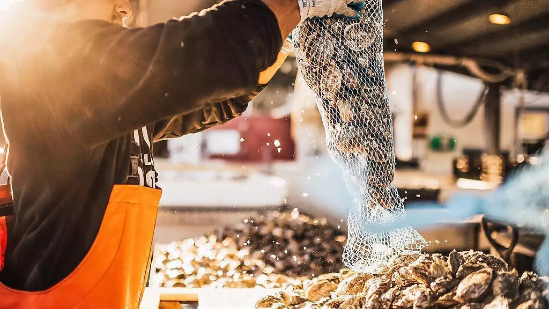 The South Bay's Best Specialty Grocery Stores