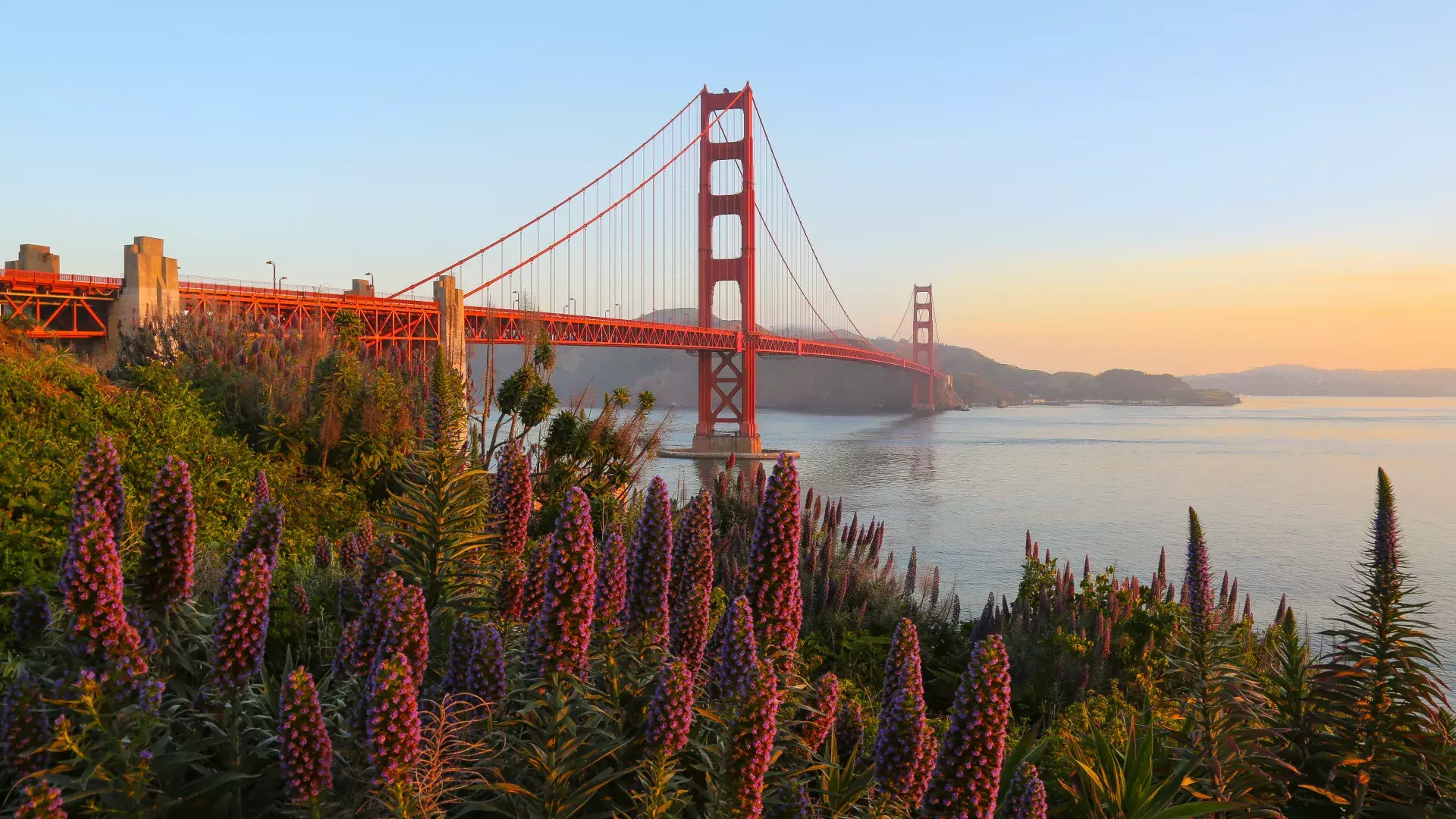 The Golden Gate Bridge is pictured with large flowers in the foreground.