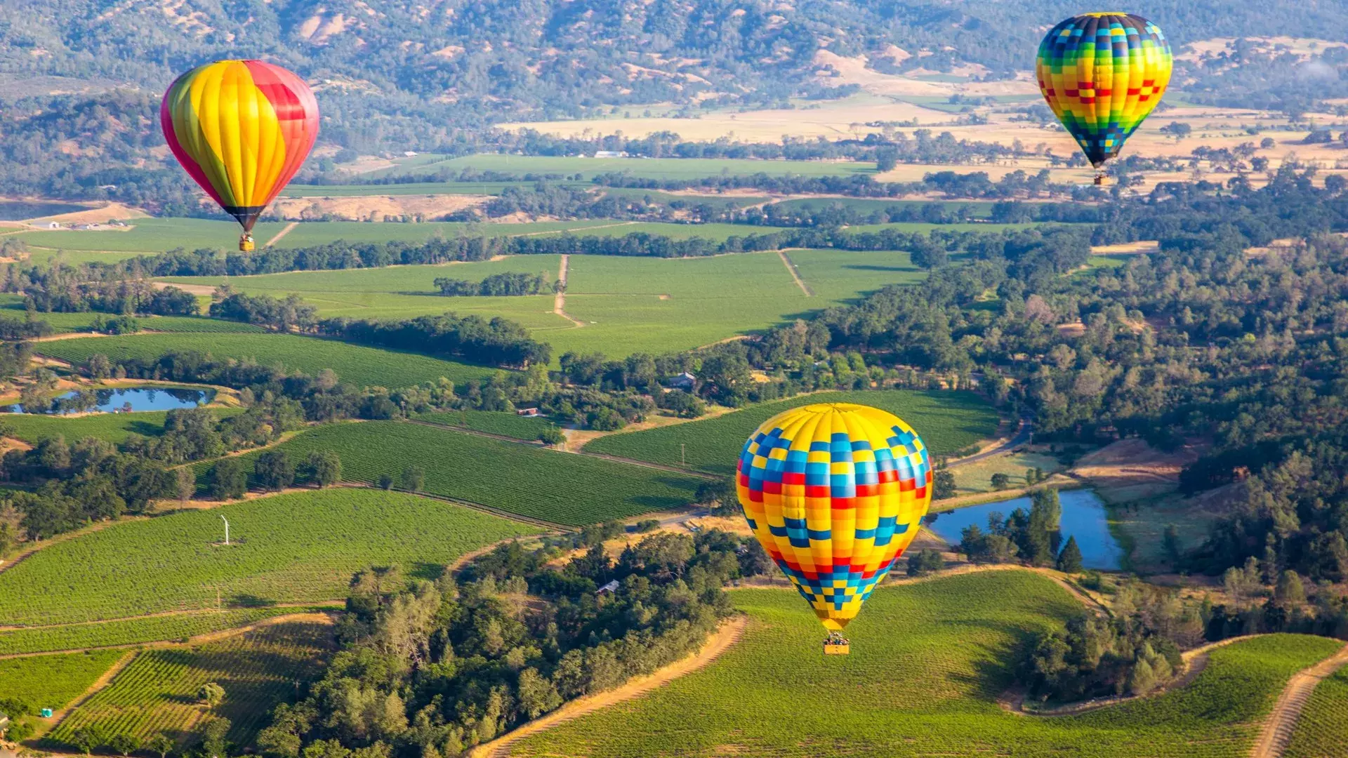 Air Balloons take off in Pleasant Hill, CA