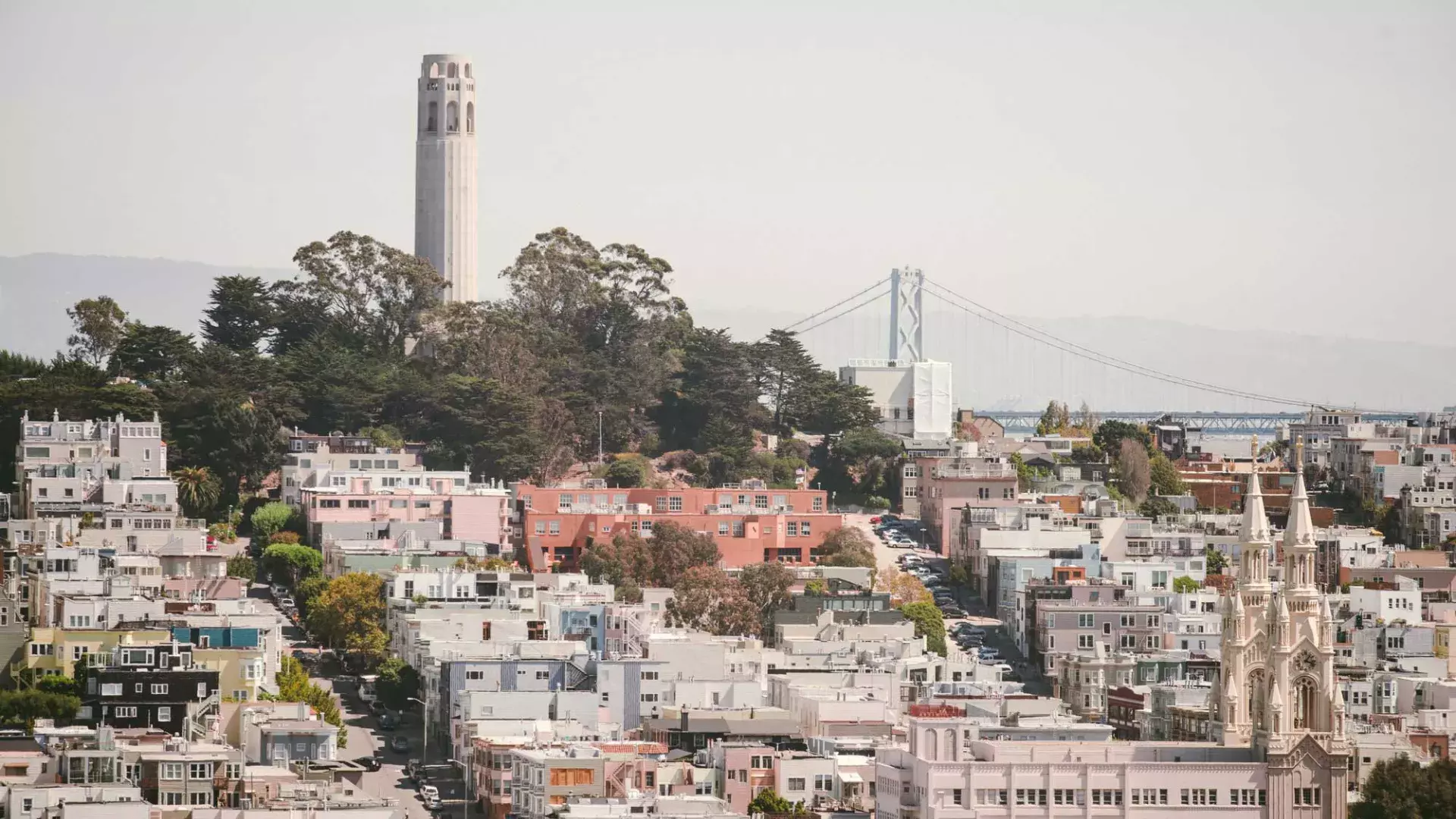 Preserving North Beach history, one martini at a time: the story