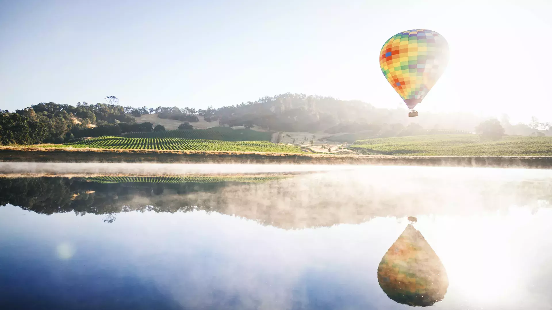 Hot air balloon hovering over a vineyard.