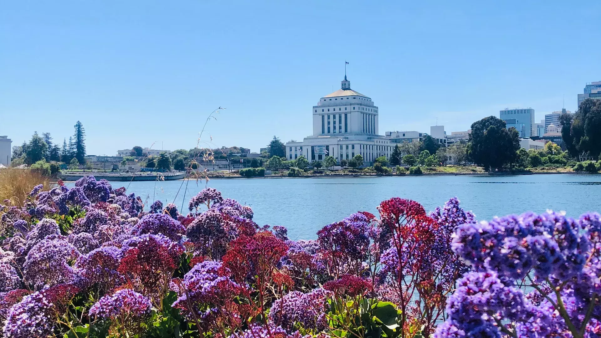 Where to Stay in Oakland, By a Local (Best Areas & Places