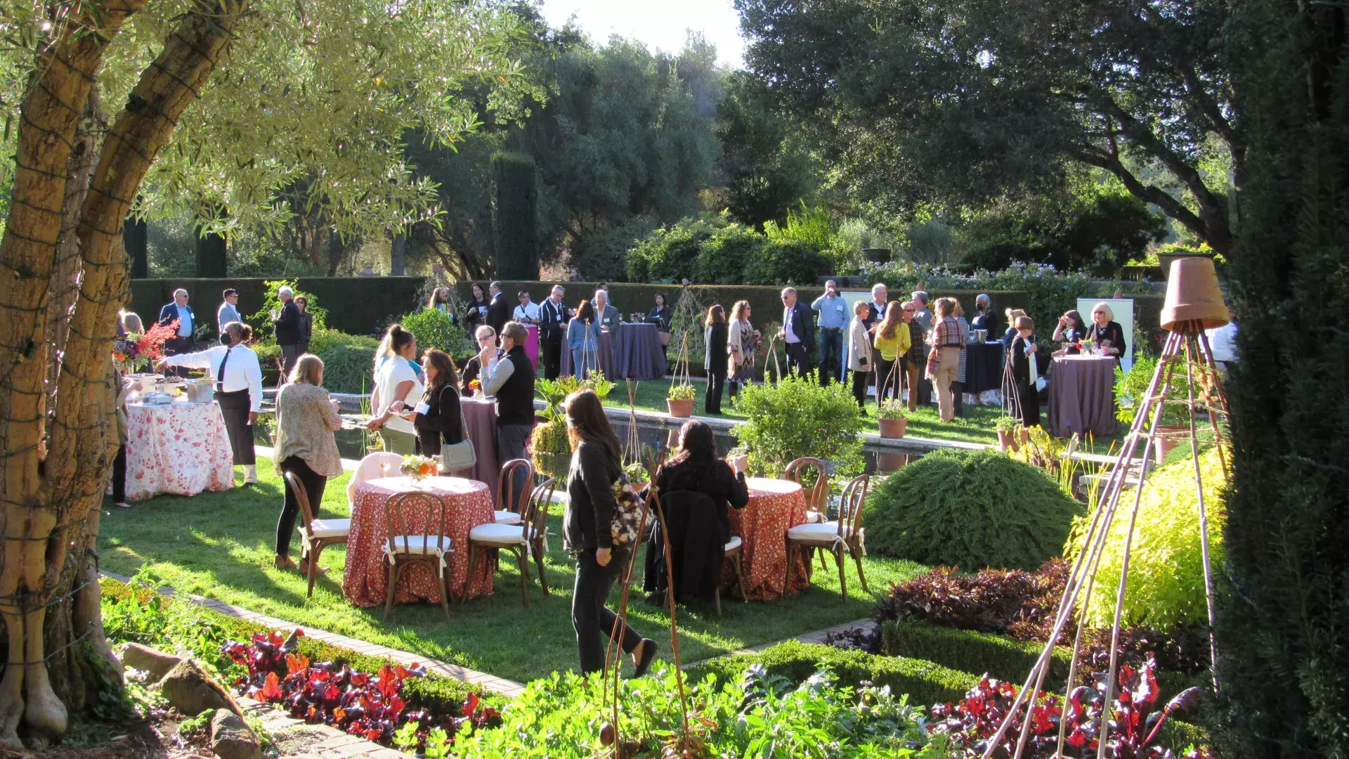 https://www.sftravel.com/sites/default/files/styles/hero/public/2023-04/October%20Mixer%20at%20Filoli%20by%20Rosalynn%20%2813%29.JPG.webp?itok=ixy1BM_h