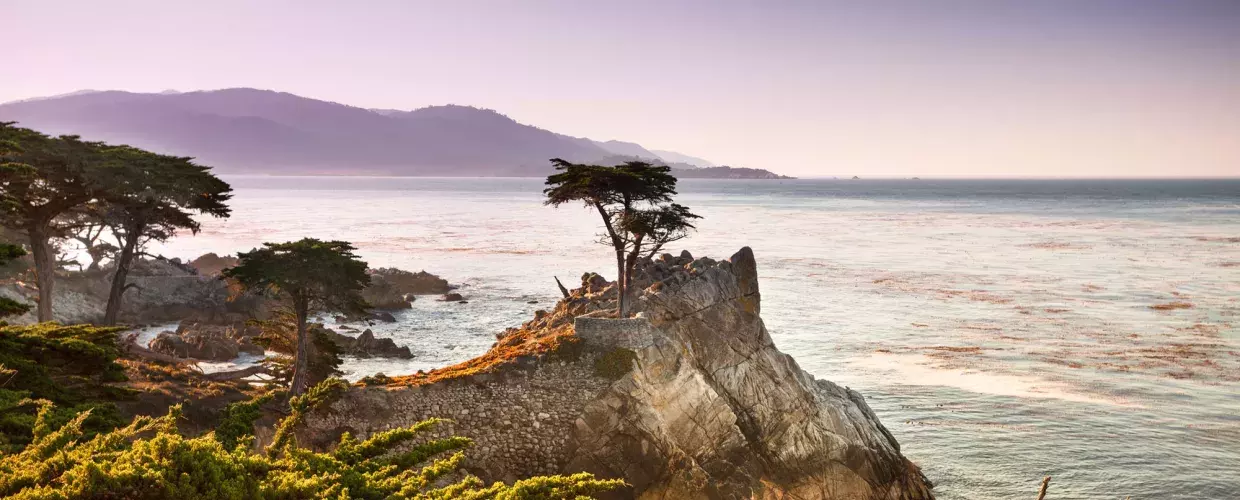 A lone cypress tree is pictured on a peninsula surrounded by Pacific Ocean and coastal foliage.