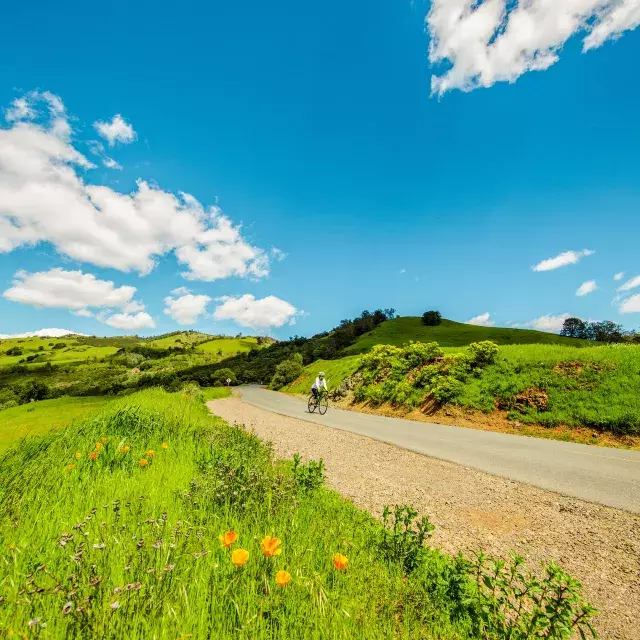 Biking in Concord, CA