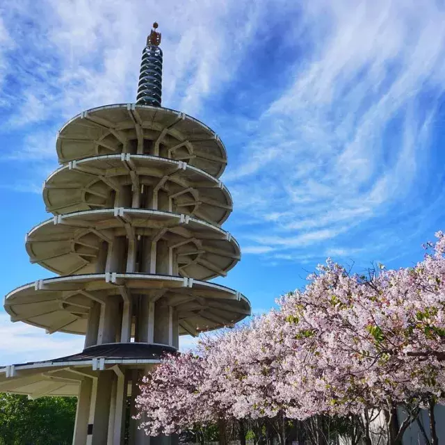 The Peace Pagoda in Japantown