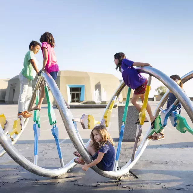 Children playing on a playground.