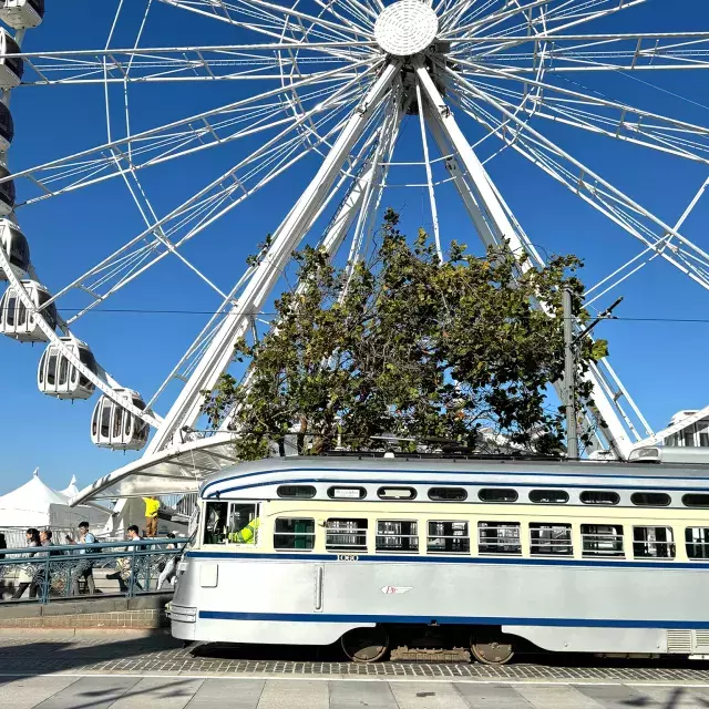 The SkyStar Wheel at Fisherman's Wharf